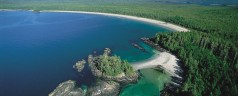 Celebration of Nature, Music and Dance brings artists together to protect forests